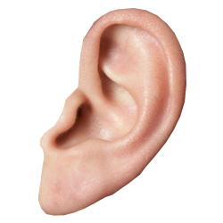 Ear Png Hd PNG Image