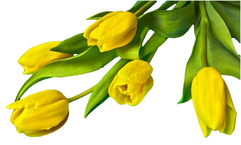 Flower Easter Free Transparent Image HD PNG Image