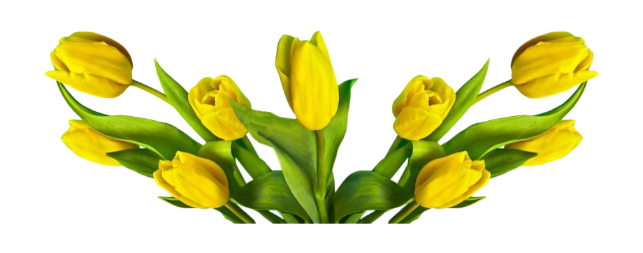 Flower Easter Free HQ Image PNG Image