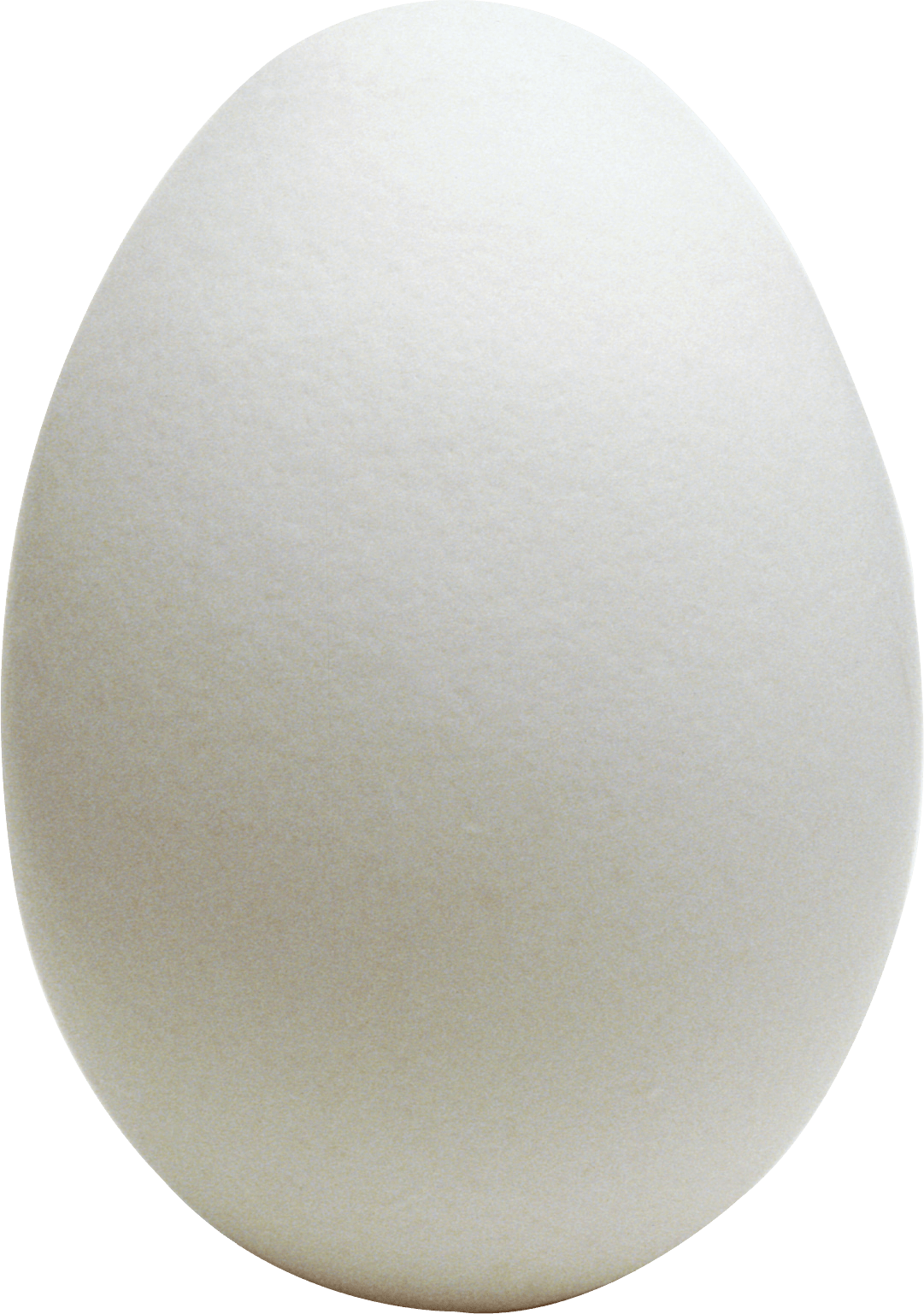 Egg Png Image PNG Image