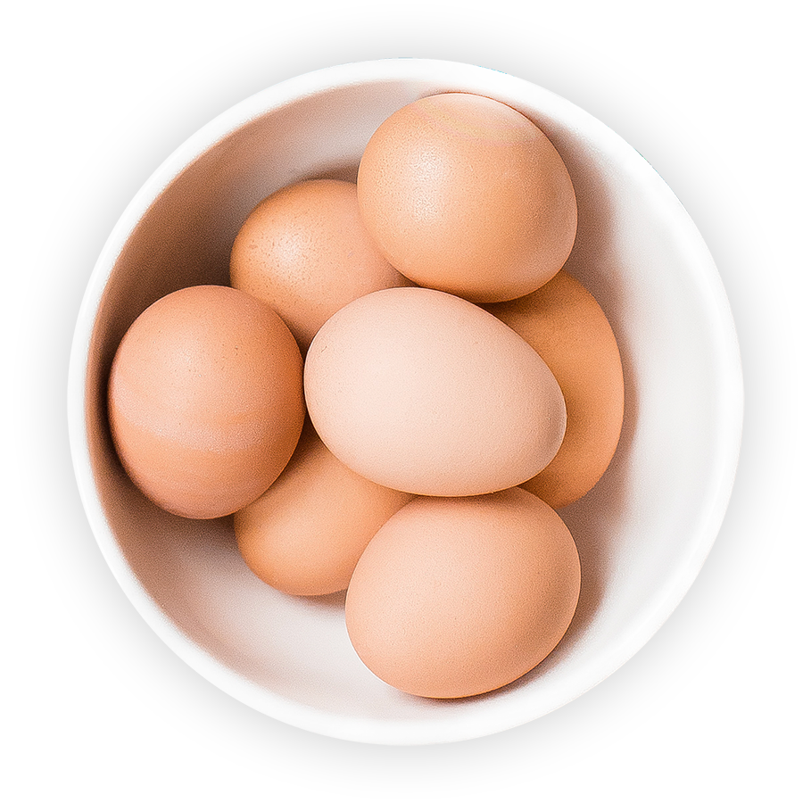 Bowl Egg Free PNG HQ PNG Image