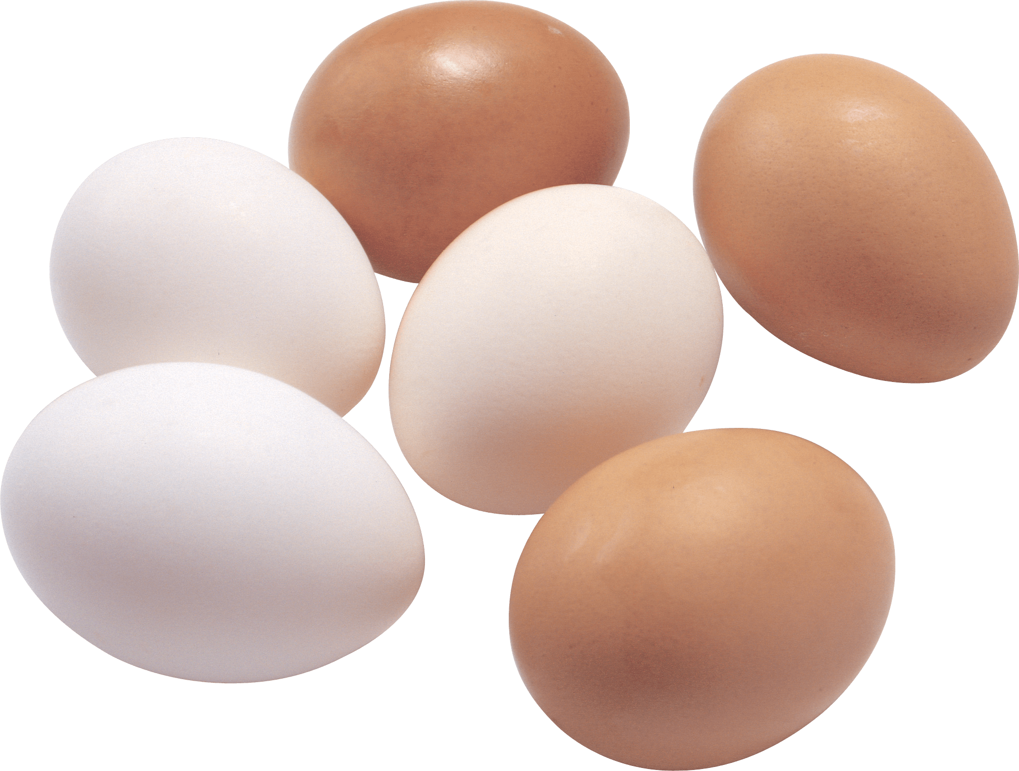 Egg Png Image PNG Image