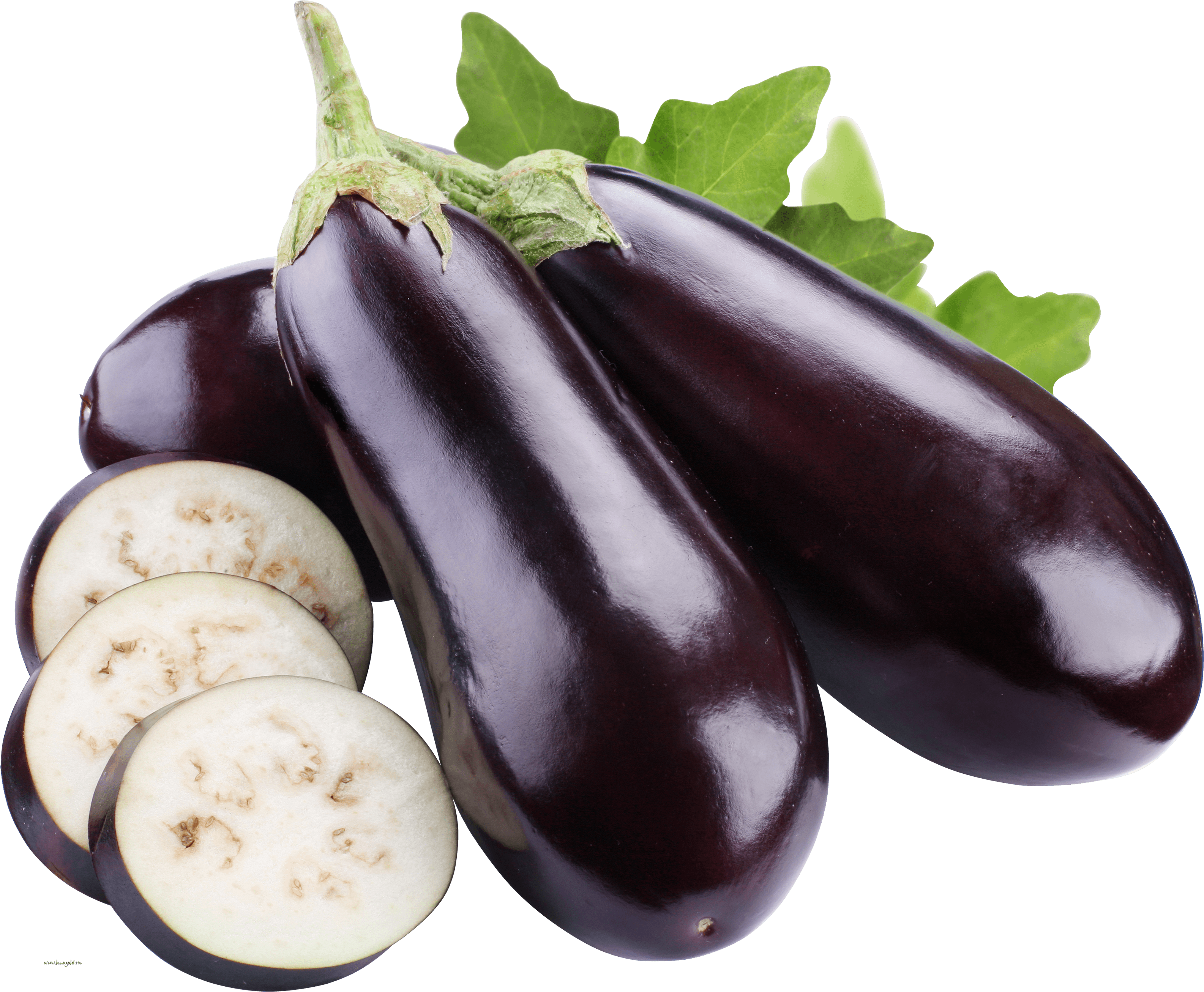 Eggplant Png Images Download PNG Image