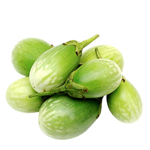 Green Brinjal Free Download PNG HQ PNG Image