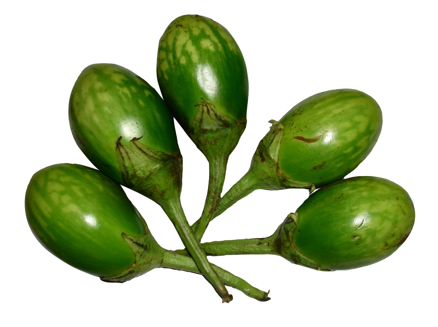 Green Brinjal Free Download PNG HD PNG Image