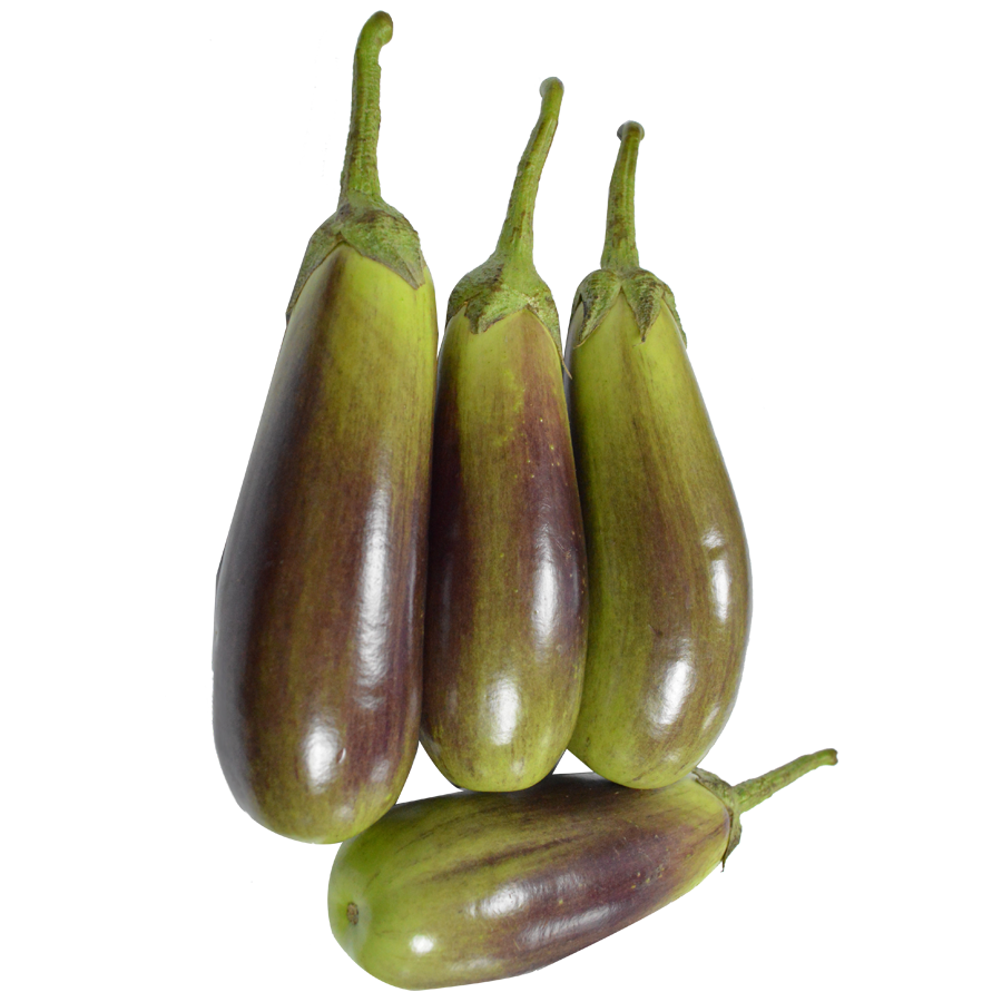 Green Brinjal Download Free Image PNG Image