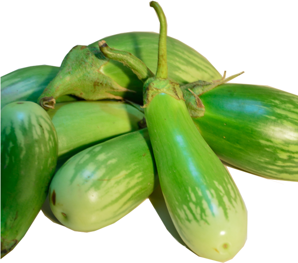 Photos Green Brinjal Free HD Image PNG Image