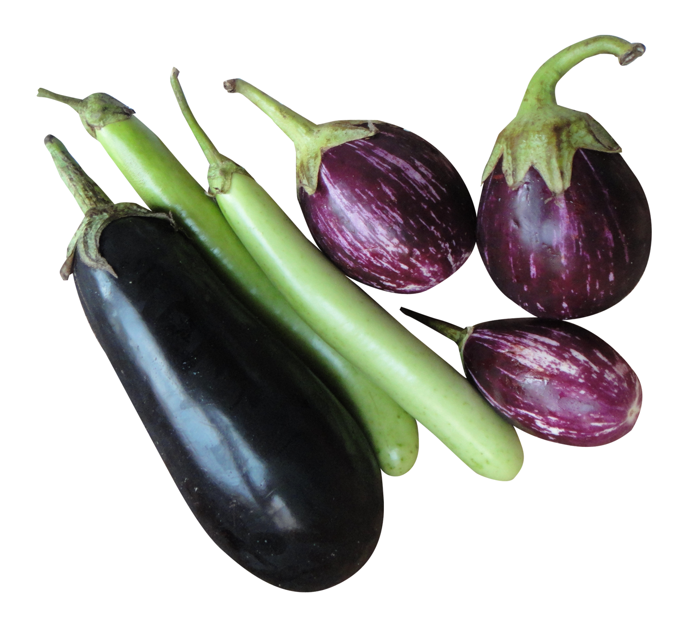 Brinjal Download Free Image PNG Image