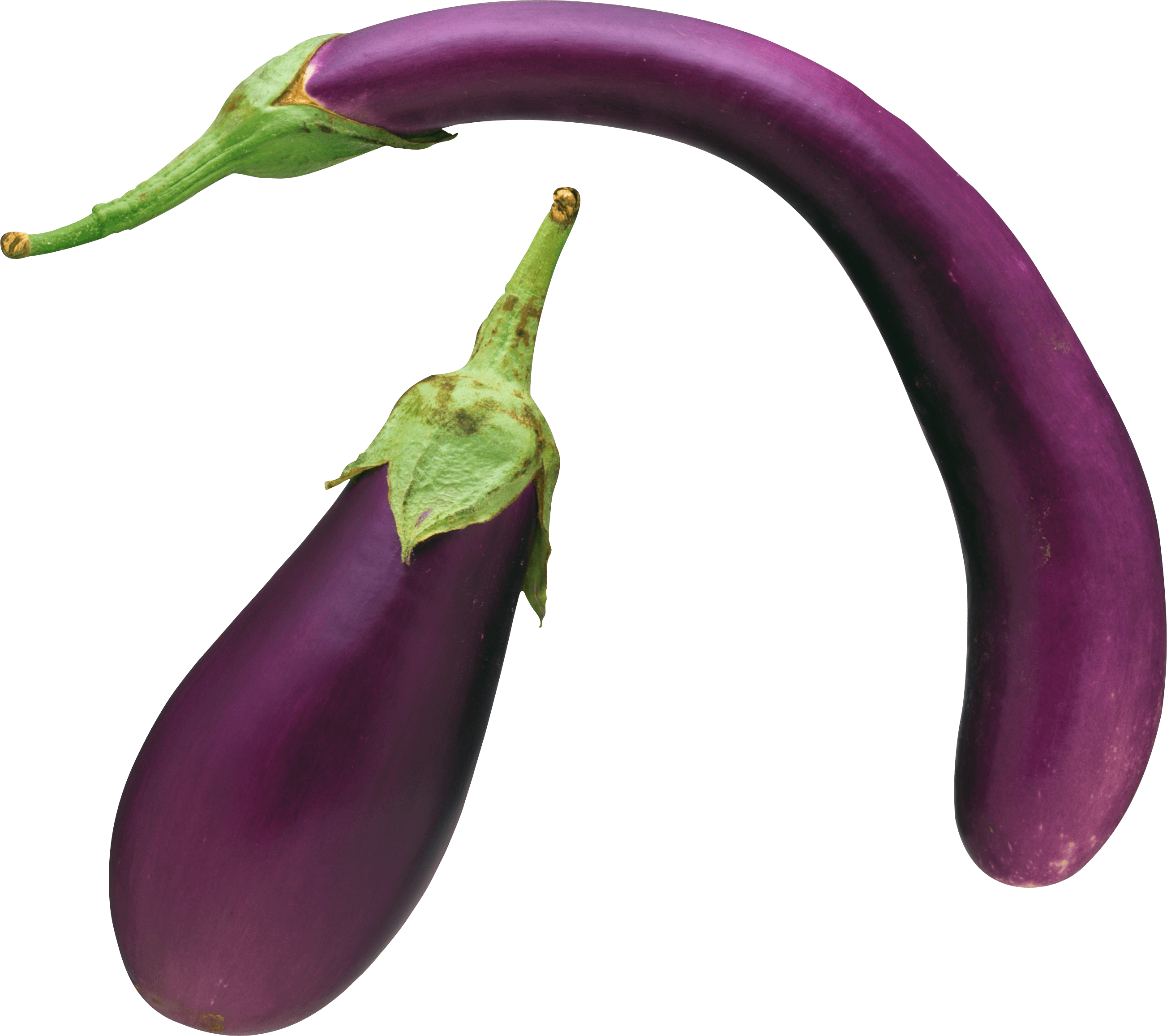 Eggplant Png Images Download PNG Image