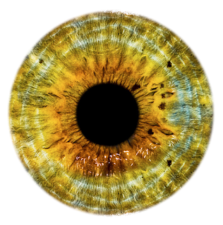 Eyes Png 4 PNG Image