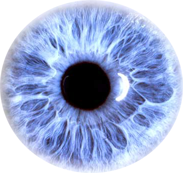 Eyes Png 9 PNG Image