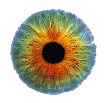 Real Eye Image PNG Image