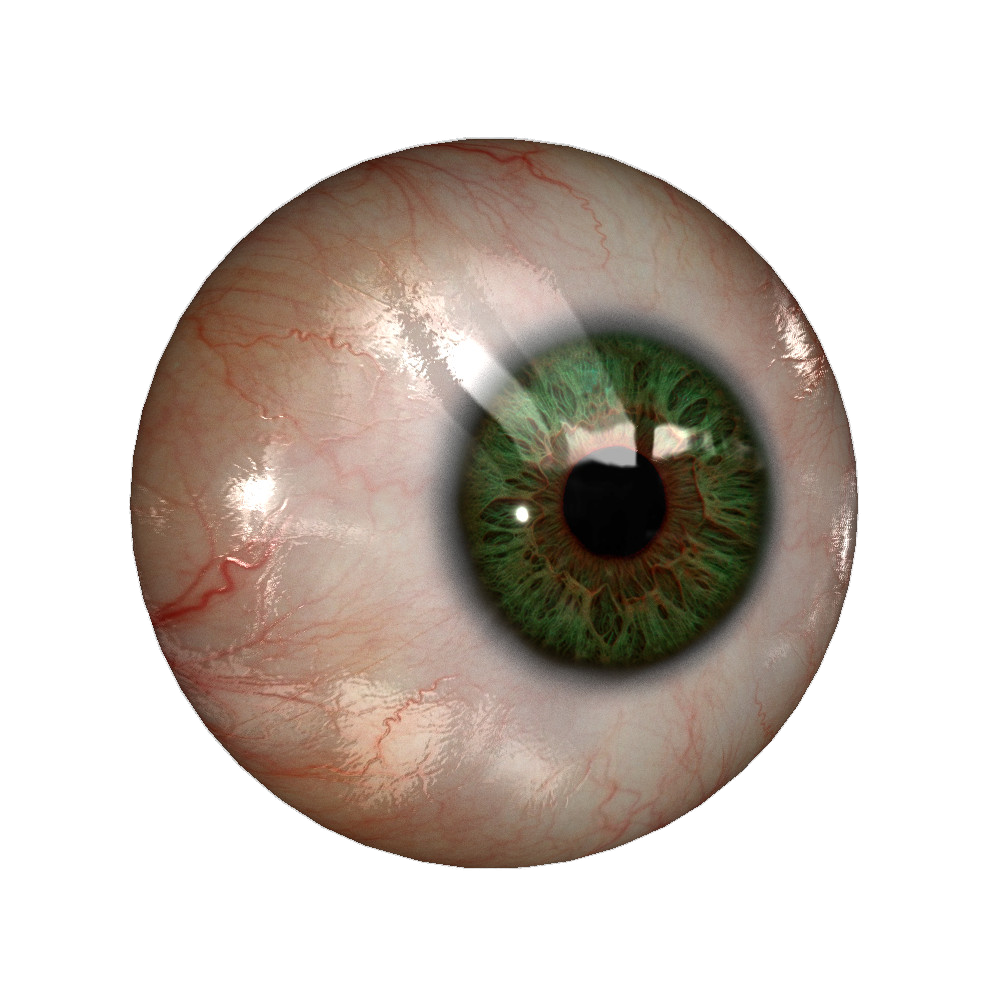 Real Eye File PNG Image