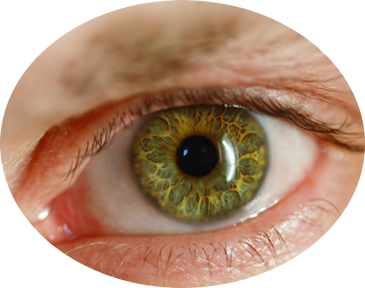 Human Eye File PNG Image