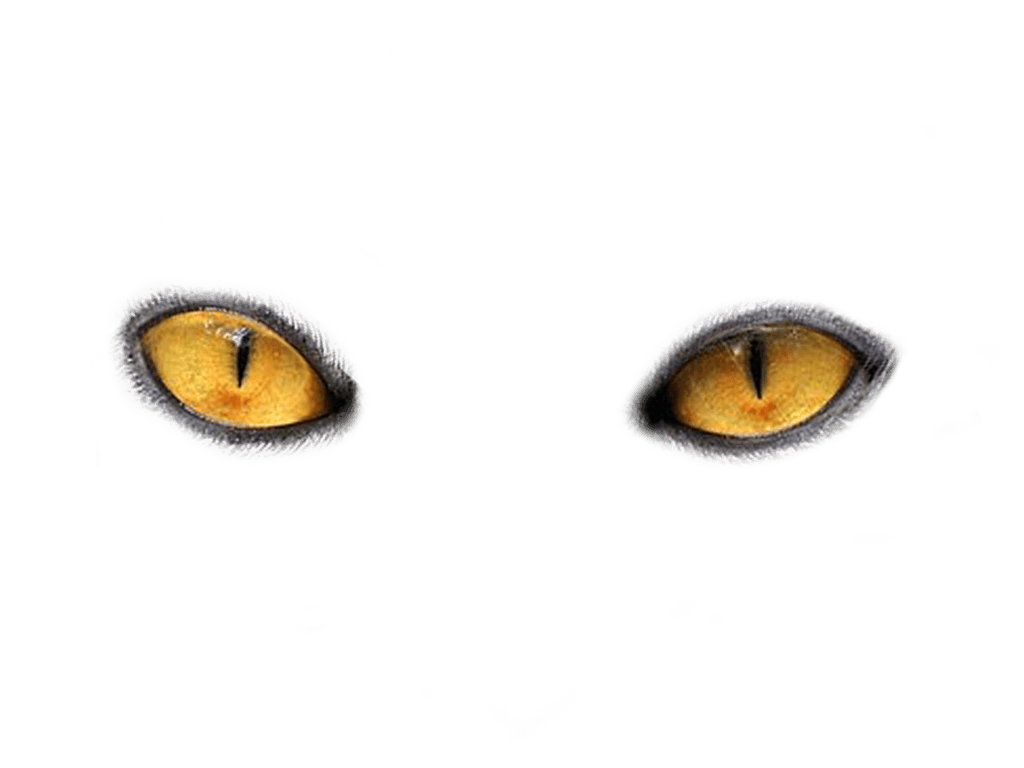 Eyes Png Image PNG Image