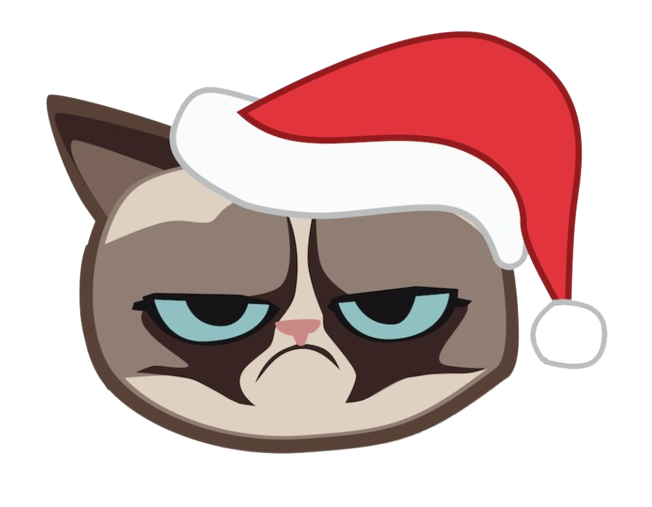 Grumpy Face Cat PNG Image High Quality PNG Image