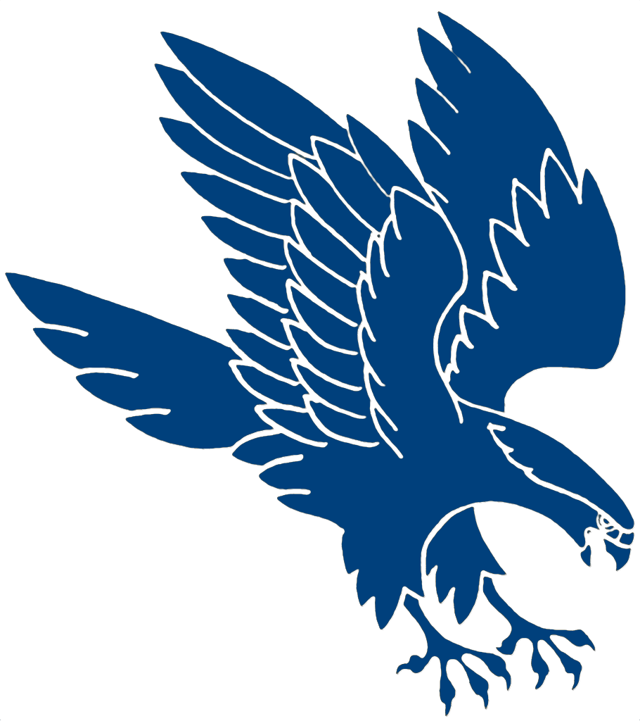 Falcon File PNG Image