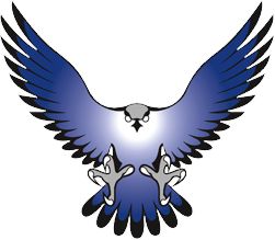 Falcon Png Image PNG Image