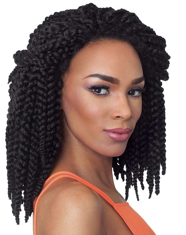 Braids Free Download Image PNG Image