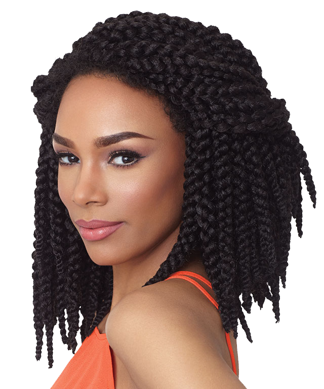 Braids HQ Image Free PNG Image