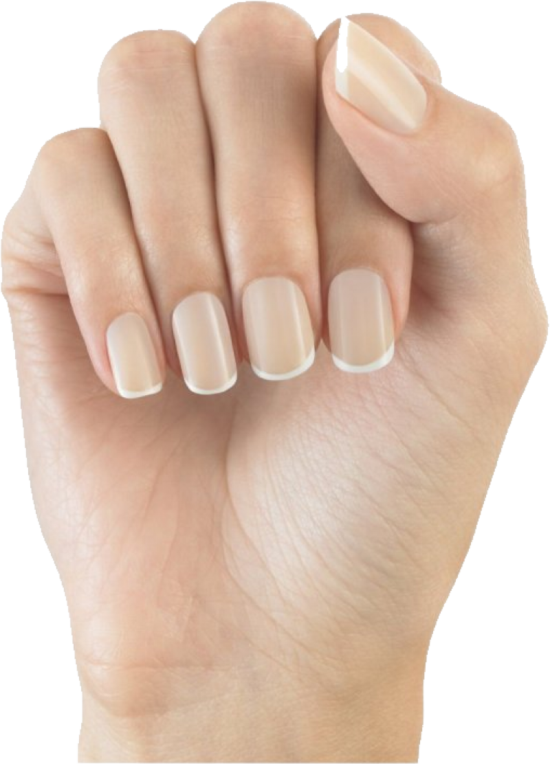 Nail PNG Download Free PNG Image