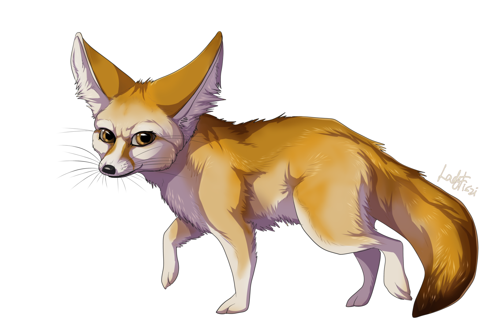 Fennec Fox Transparent Image PNG Image