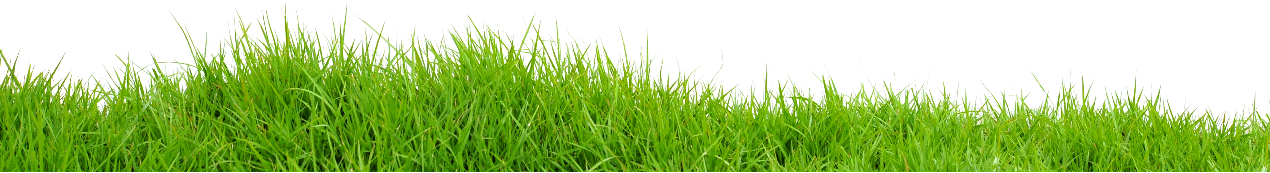 Field Transparent Image PNG Image