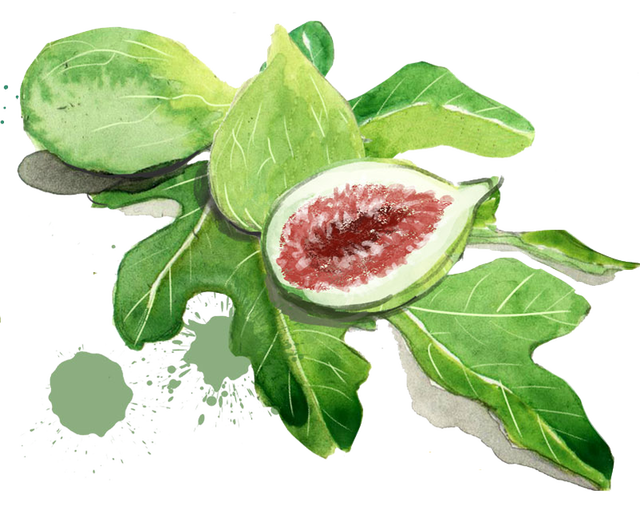 Cut Fig Half Free Download PNG HQ PNG Image