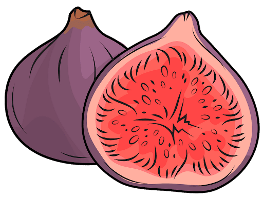 Purple Cut Fig Half Free HQ Image PNG Image