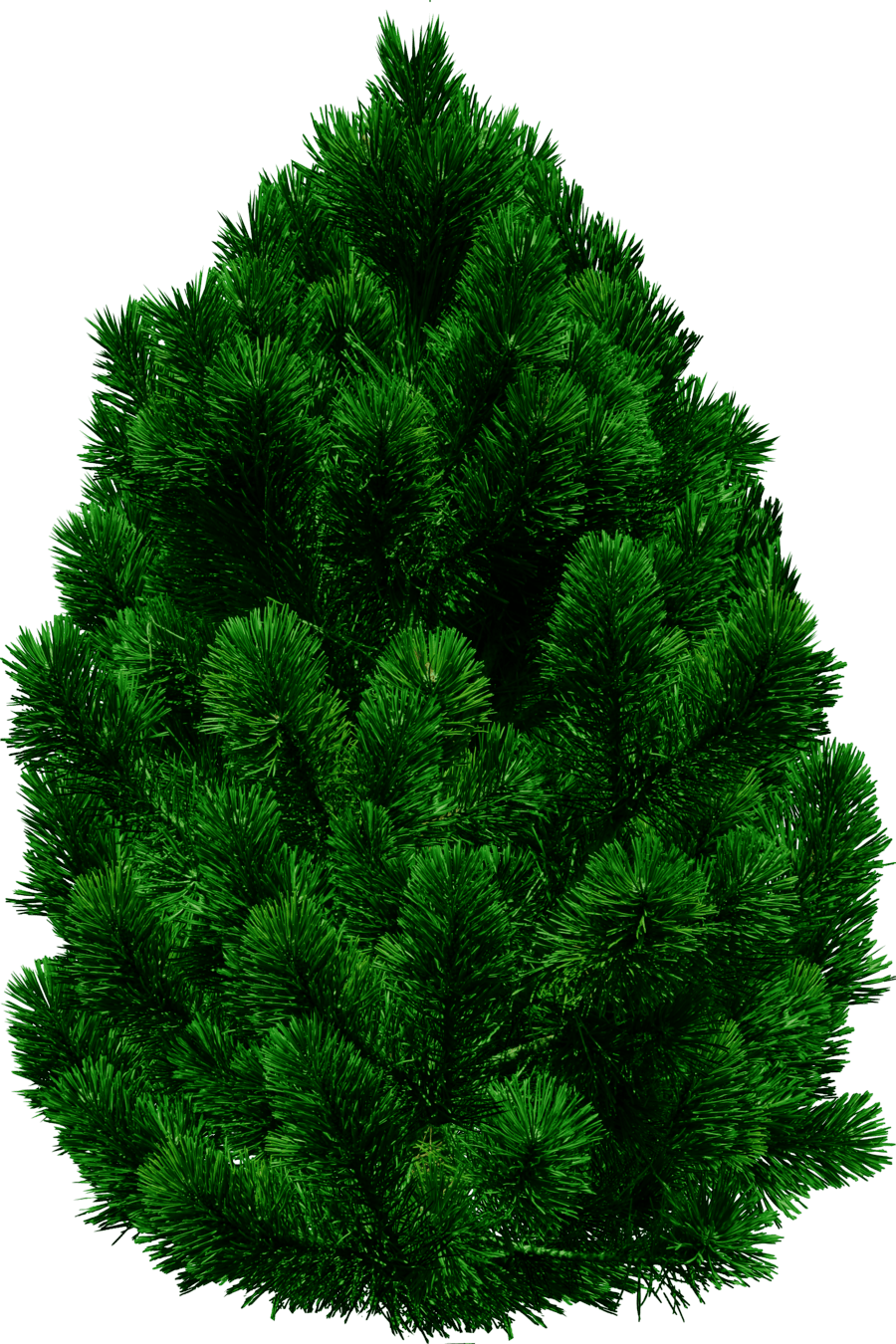 Fir-Tree Png Image PNG Image