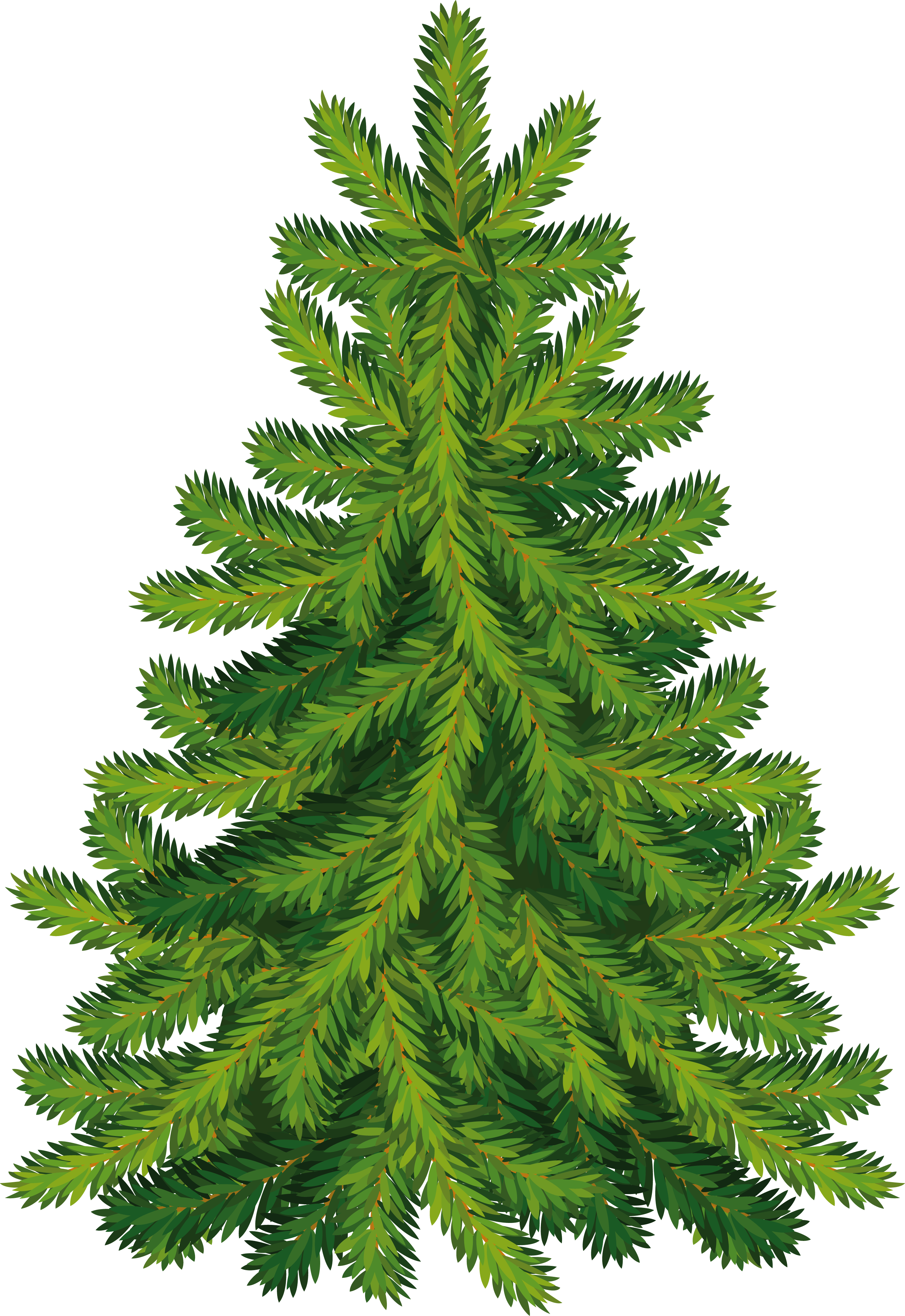 Fir-Tree Png Image PNG Image