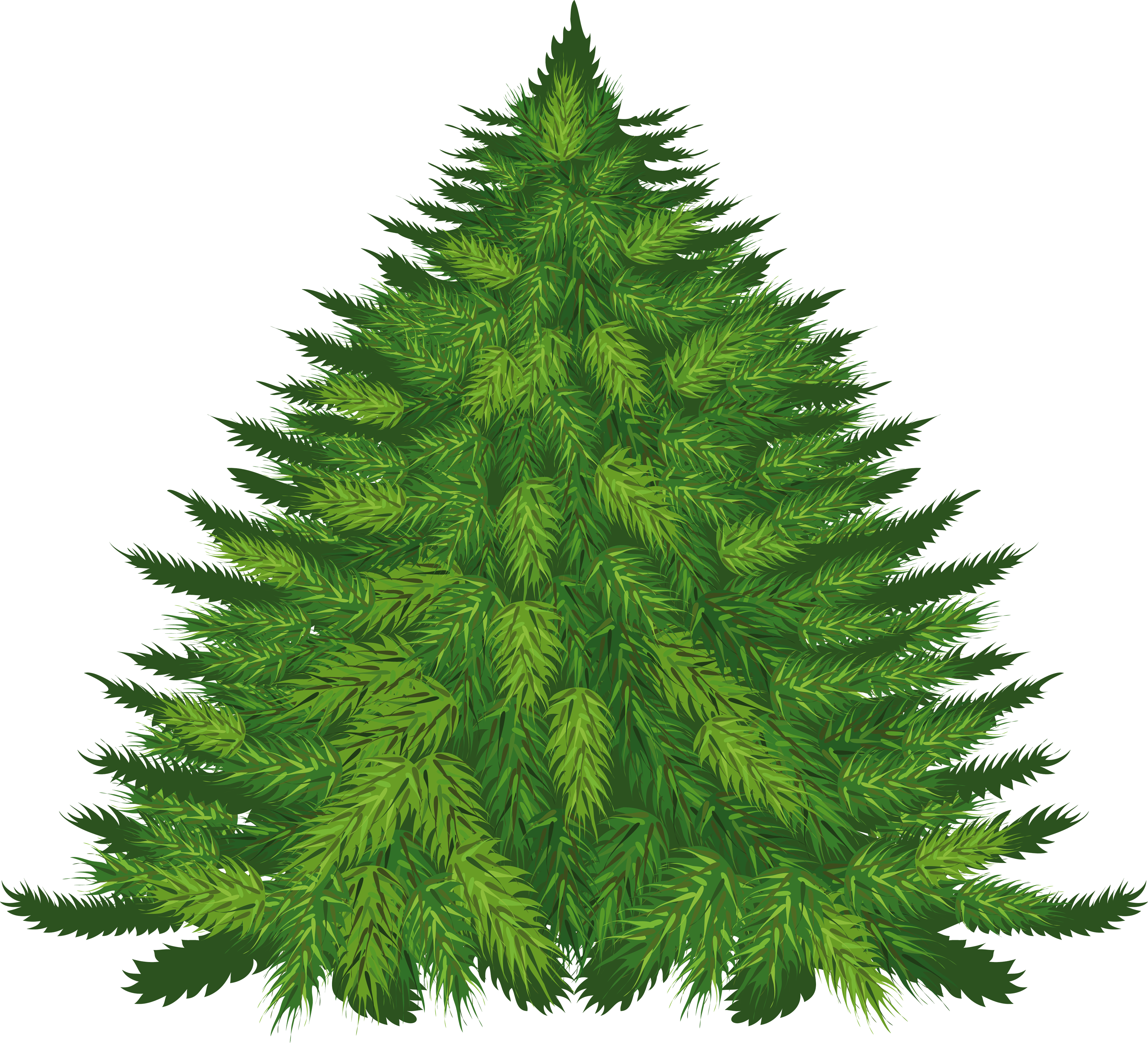 Fir-Tree Png Image PNG Image