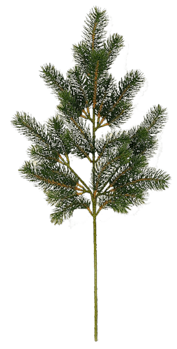 Fir-Tree Png Image PNG Image