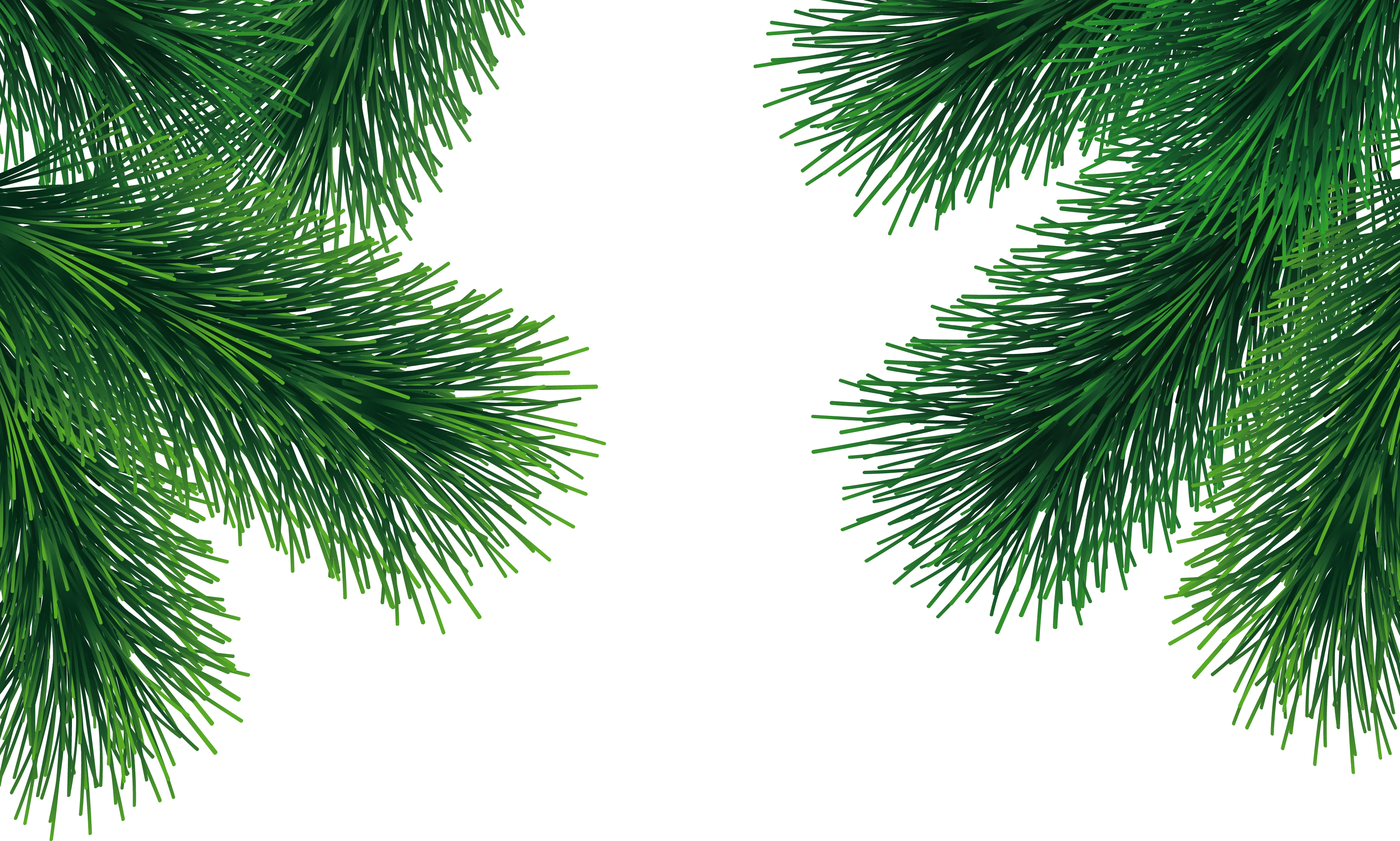 Fir-Tree Png Image PNG Image