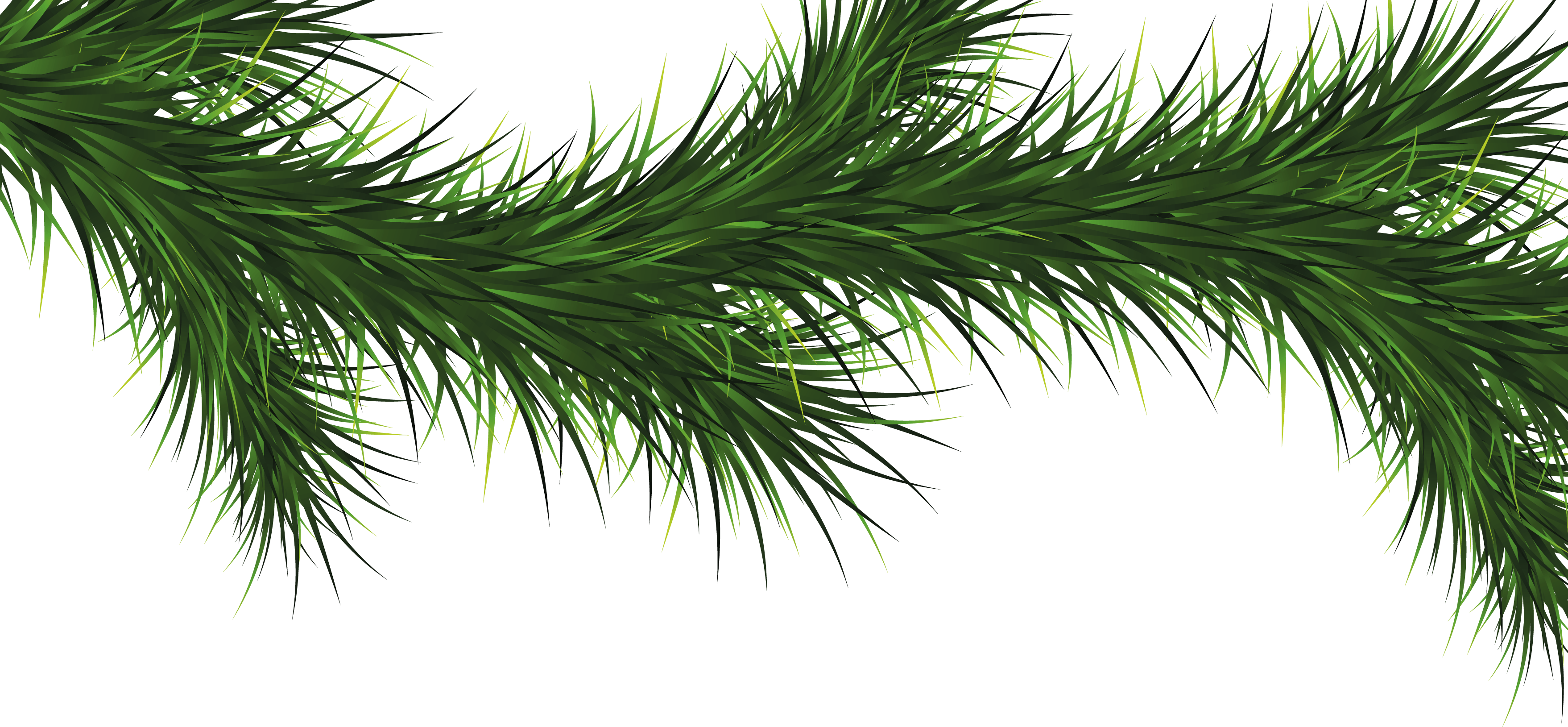 Fir-Tree Png Image PNG Image