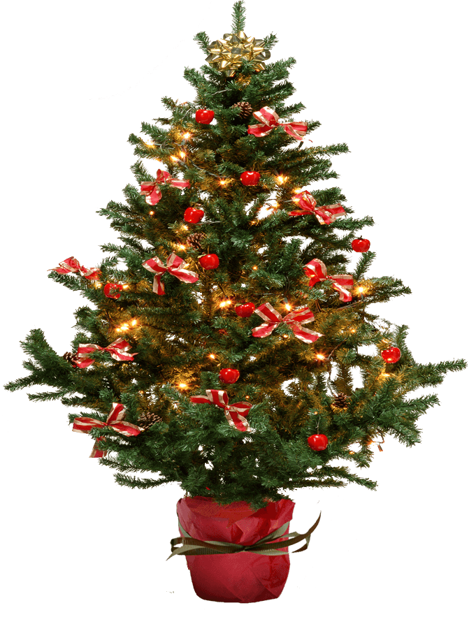 Christmas Fir-Tree Png Image PNG Image