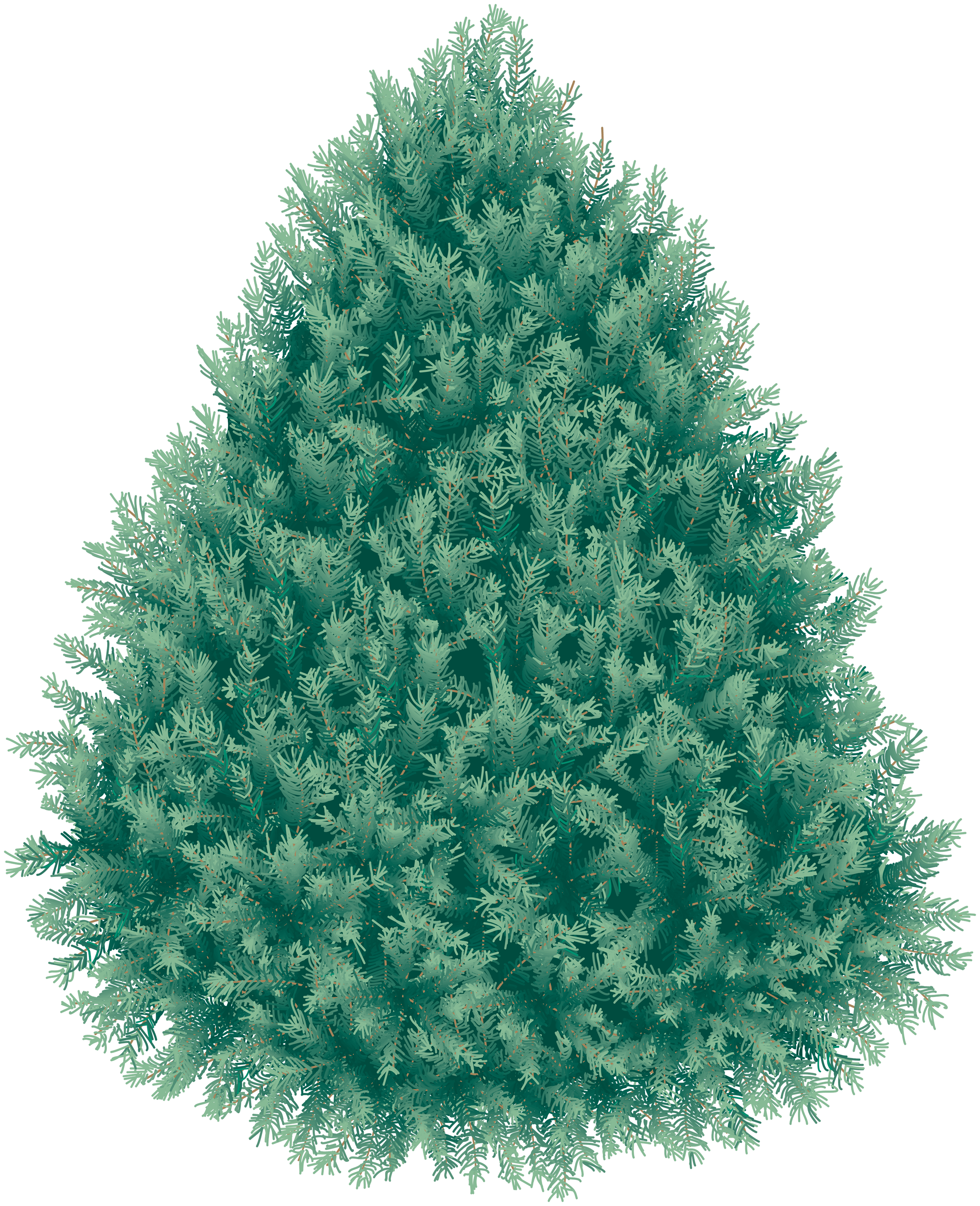 Fir-Tree Png Image PNG Image