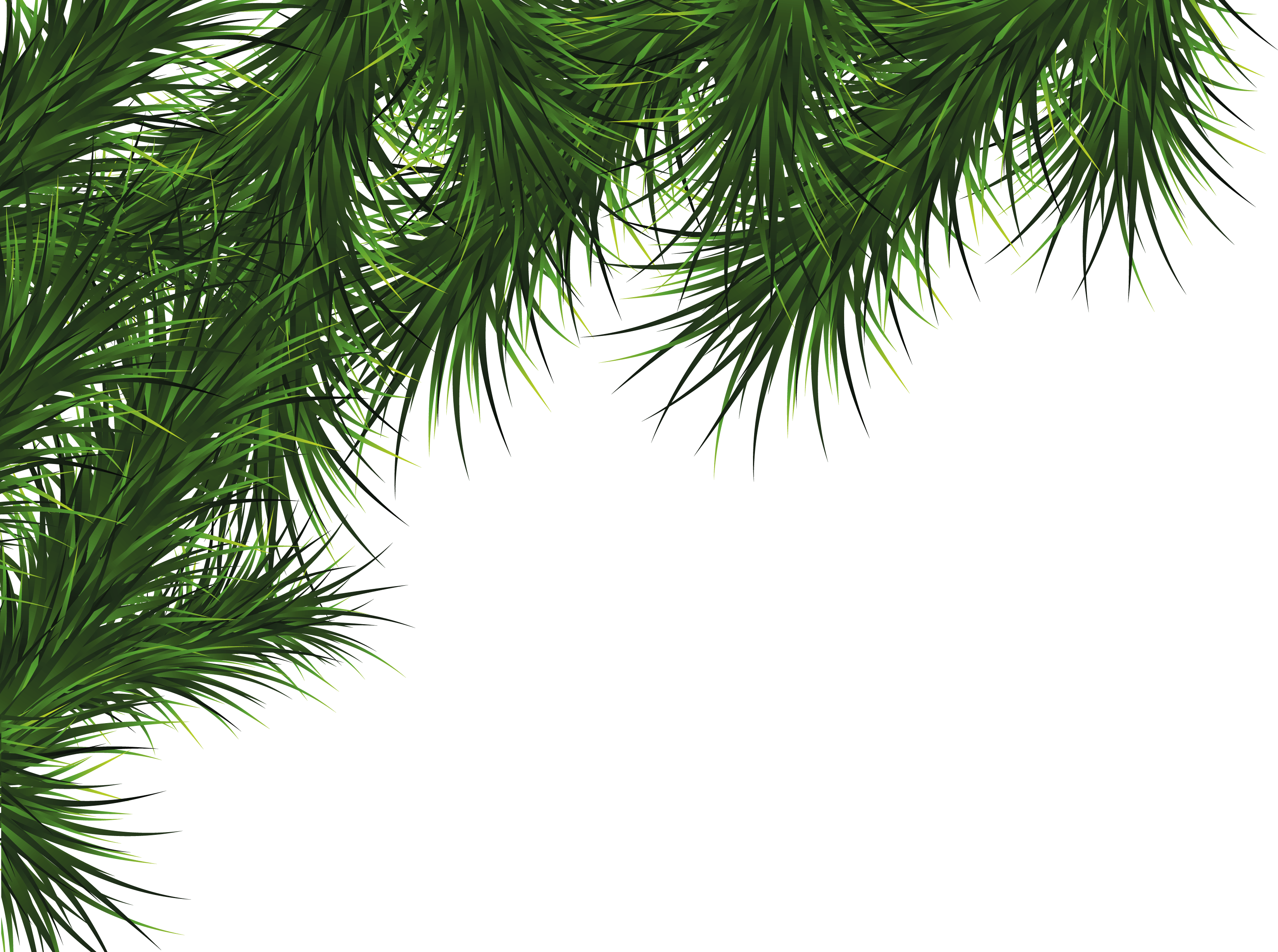 Fir-Tree Png Image PNG Image