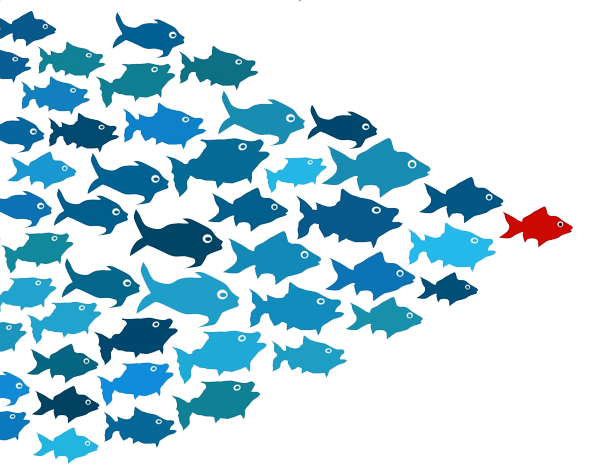 School Of Fish Transparent PNG Image