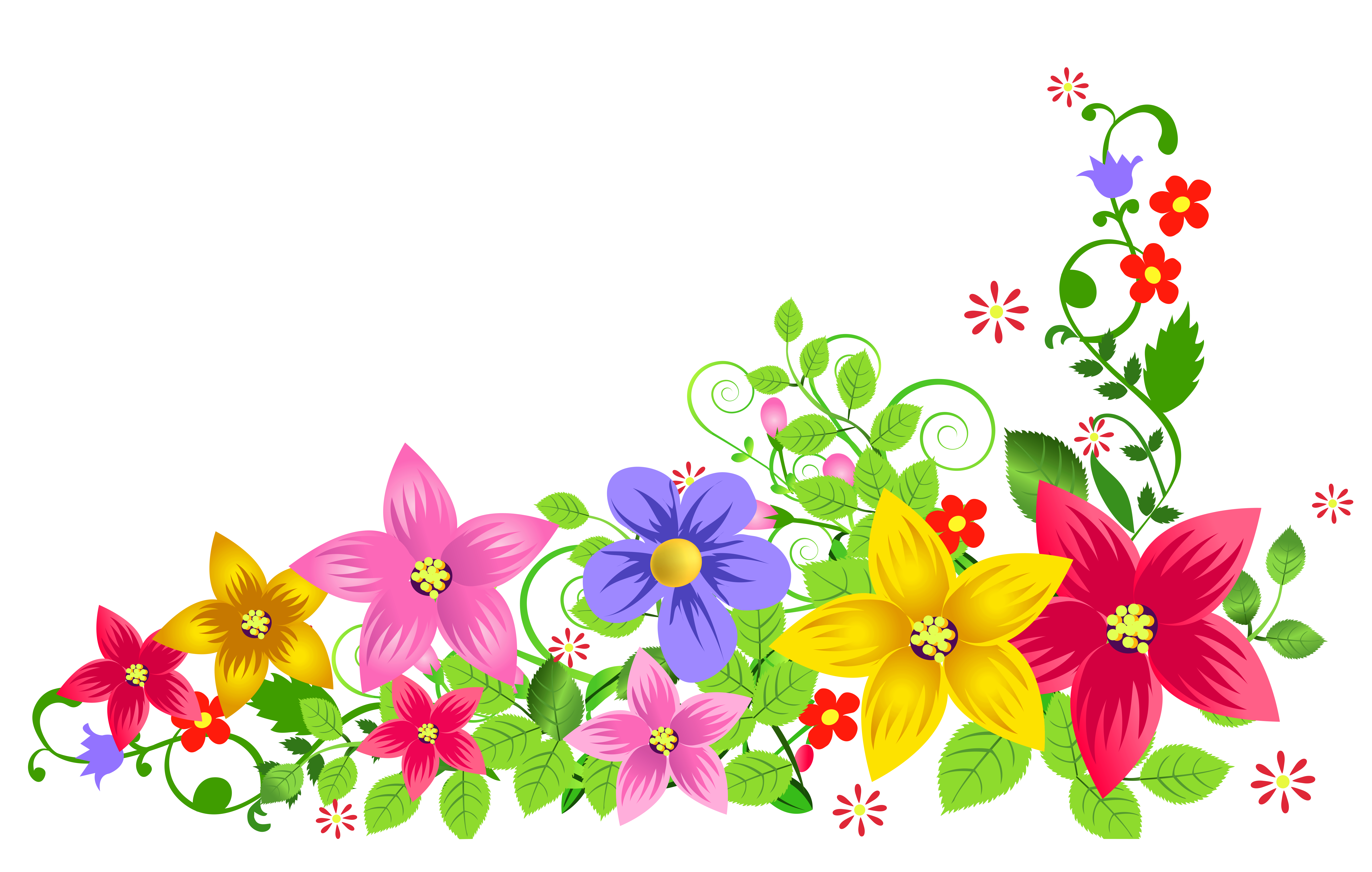 Floral Transparent Image PNG Image