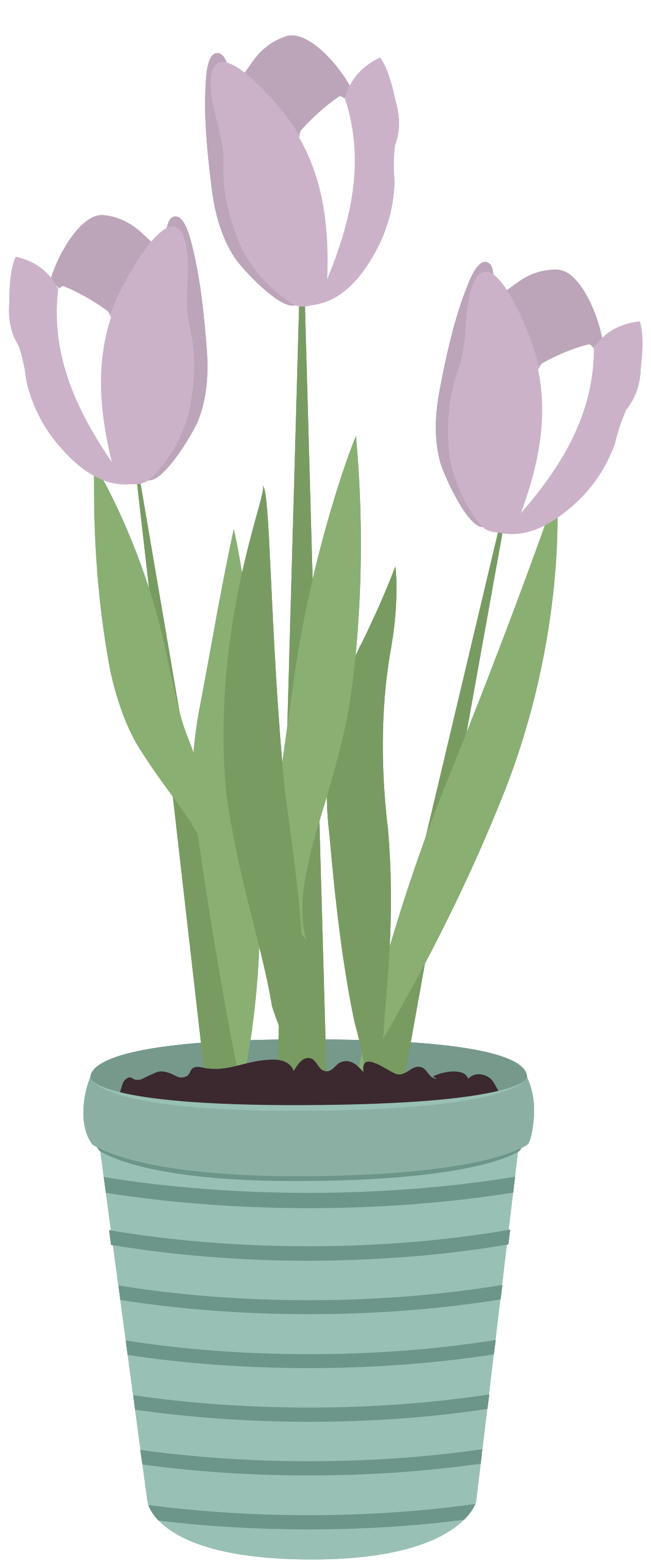 Pot Flower PNG Download Free PNG Image