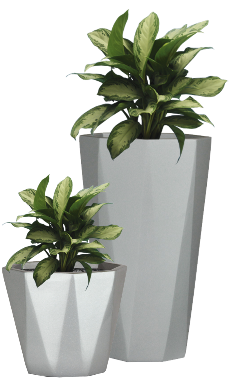 Plants Pot Flower Free HQ Image PNG Image