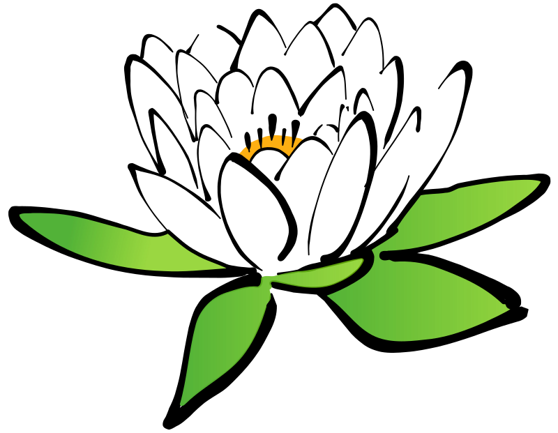 Lotus Vector Flower Free Photo PNG Image