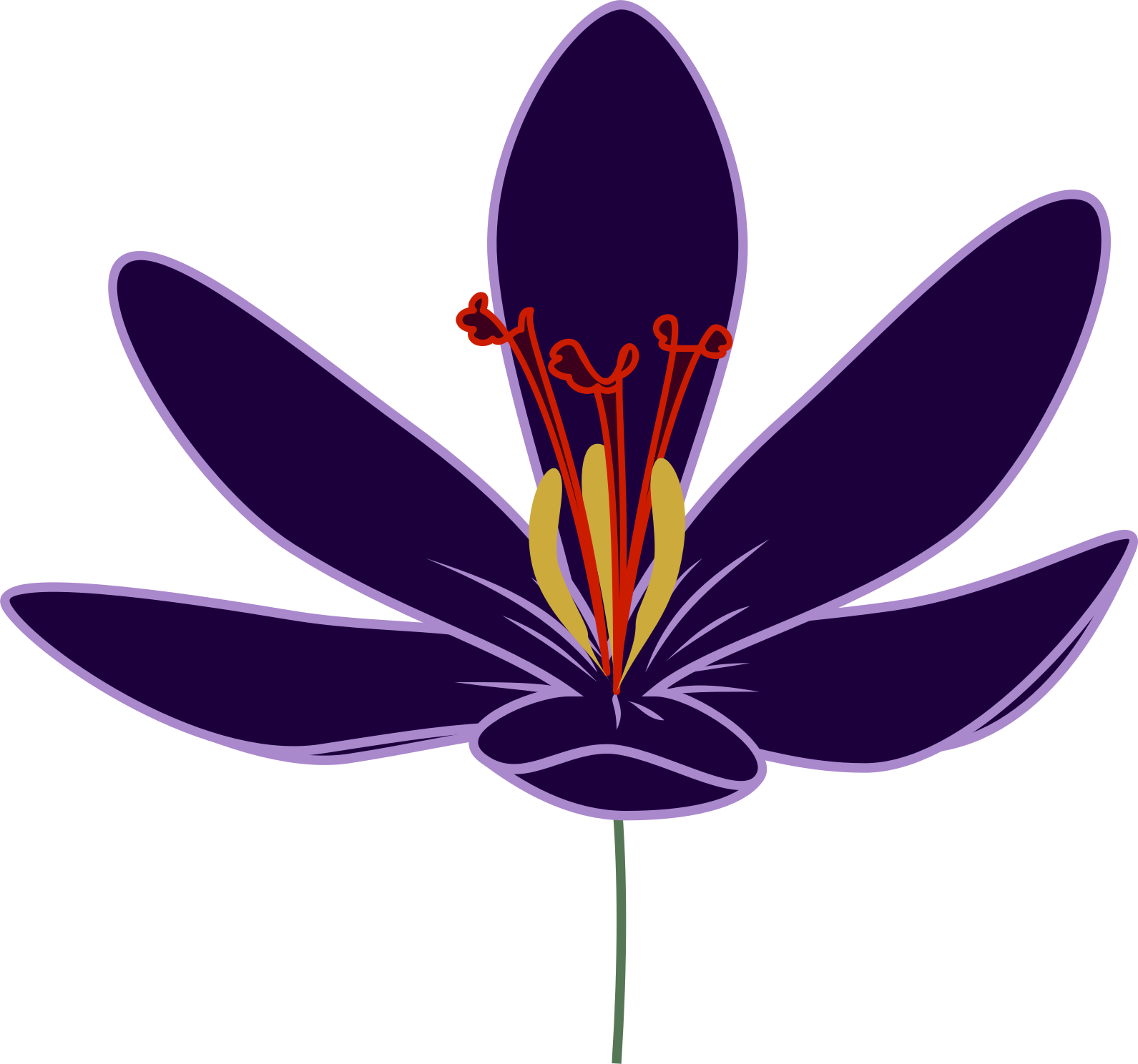 Crocus Transparent PNG Image