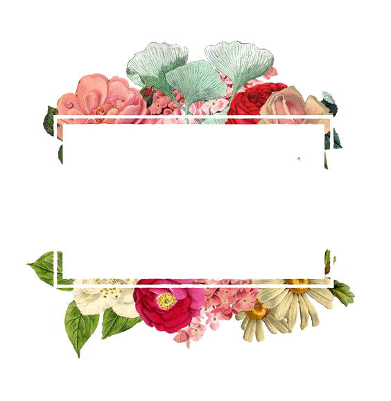 Paper Logo Flowers Flower Border Free Download PNG HQ PNG Image