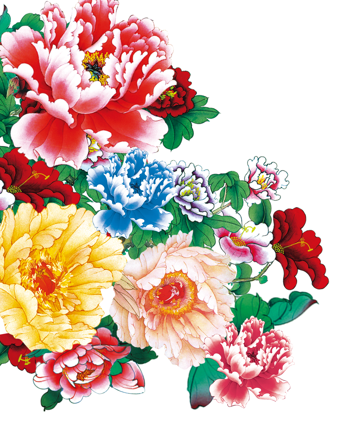 Moutan Peony Free HQ Image PNG Image