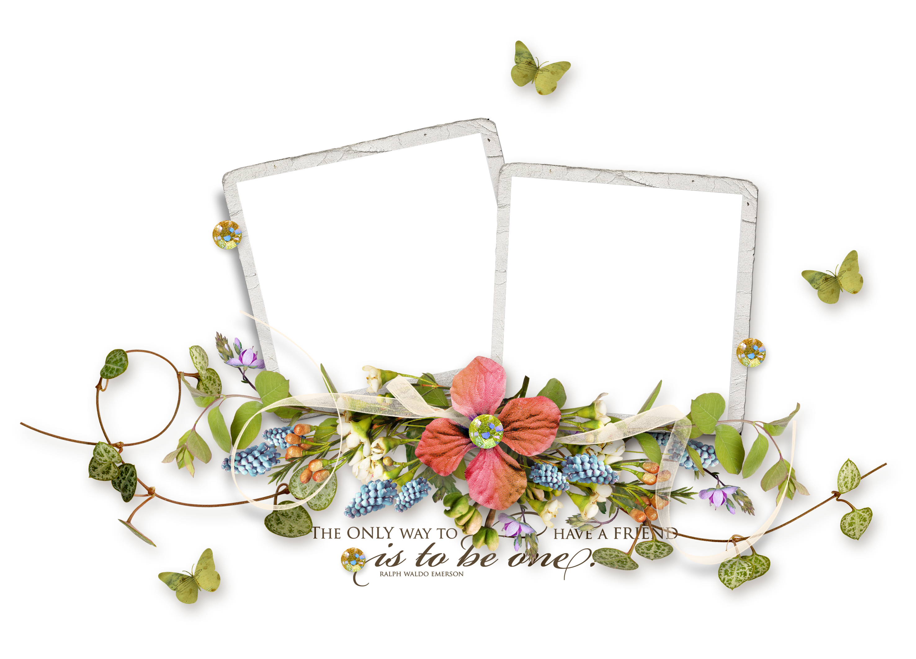 Picture Frame Vector Flower Euclidean Free Transparent Image HQ PNG Image