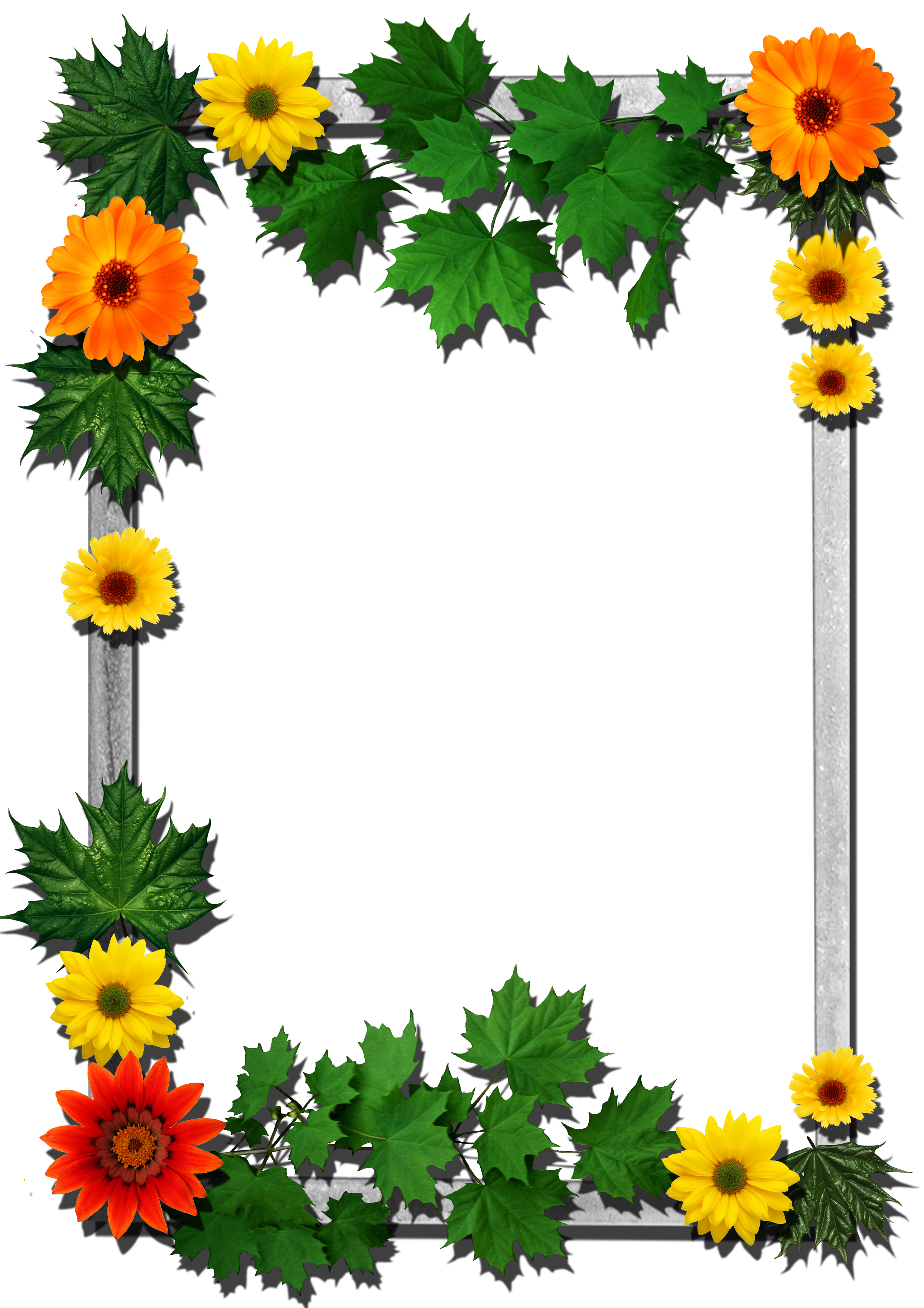 Frames Picture Frame Flower Free PNG HQ PNG Image