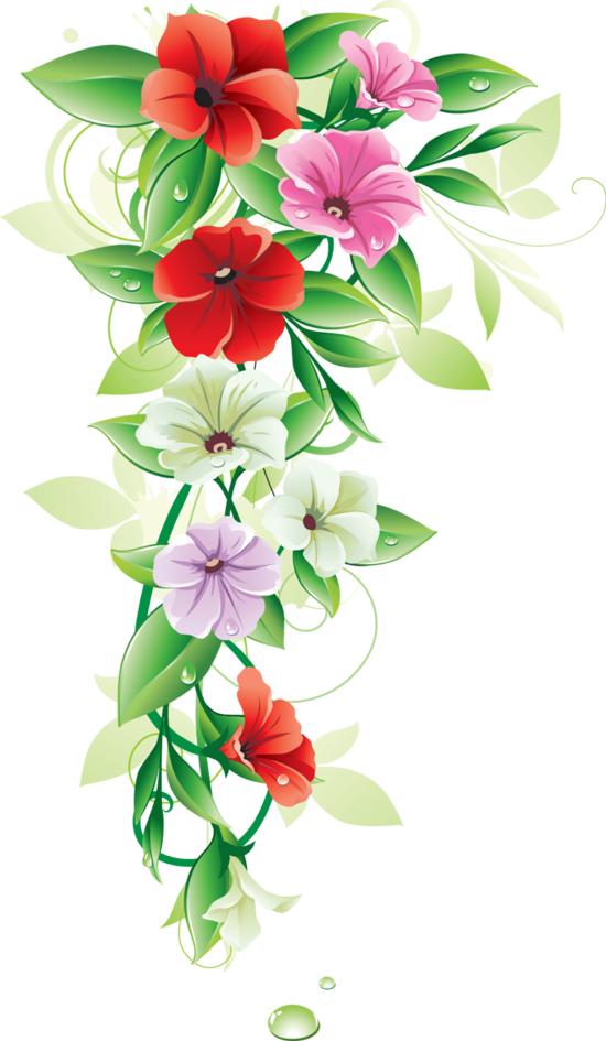 Flower Encapsulated Illustration Postscript Vector Graphics Border PNG Image