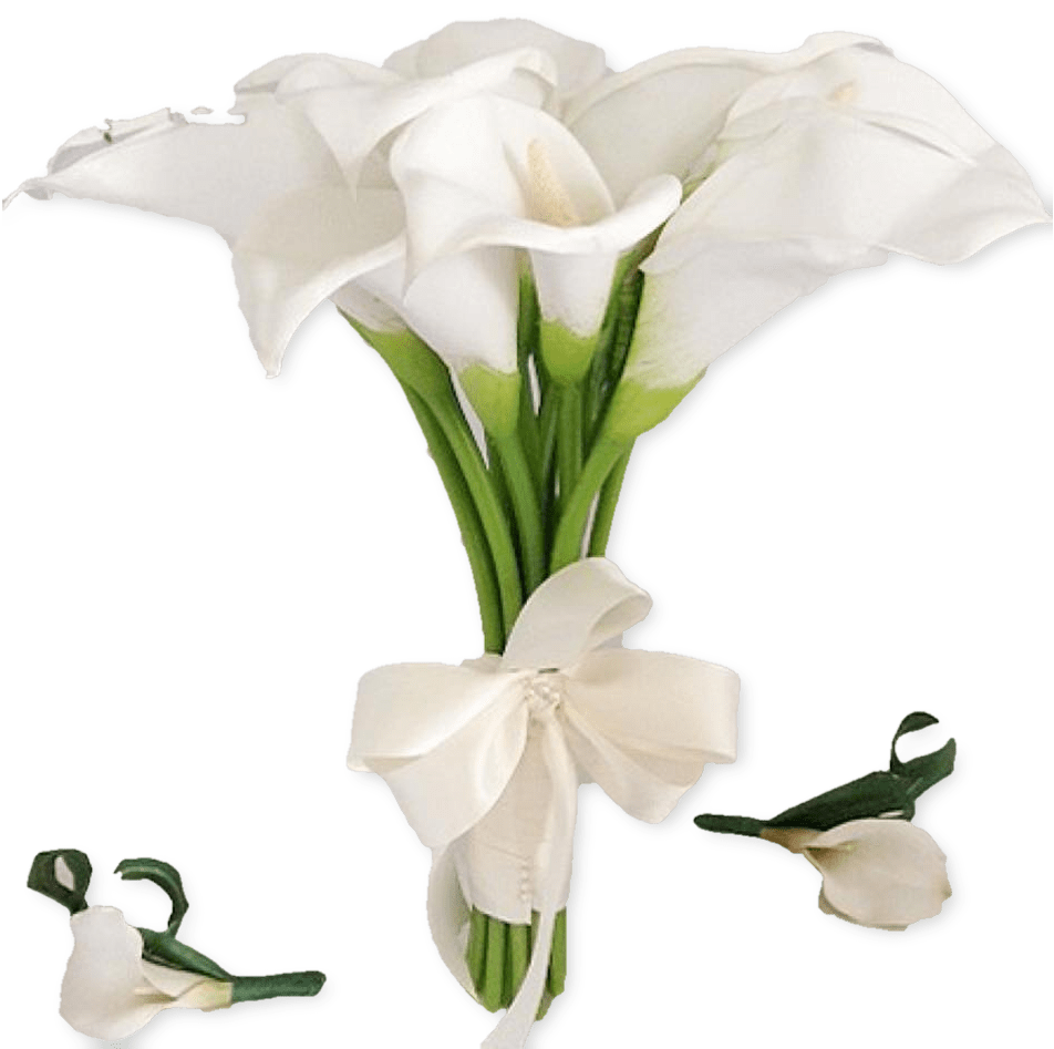 Botany Lily Calla HQ Image Free PNG Image